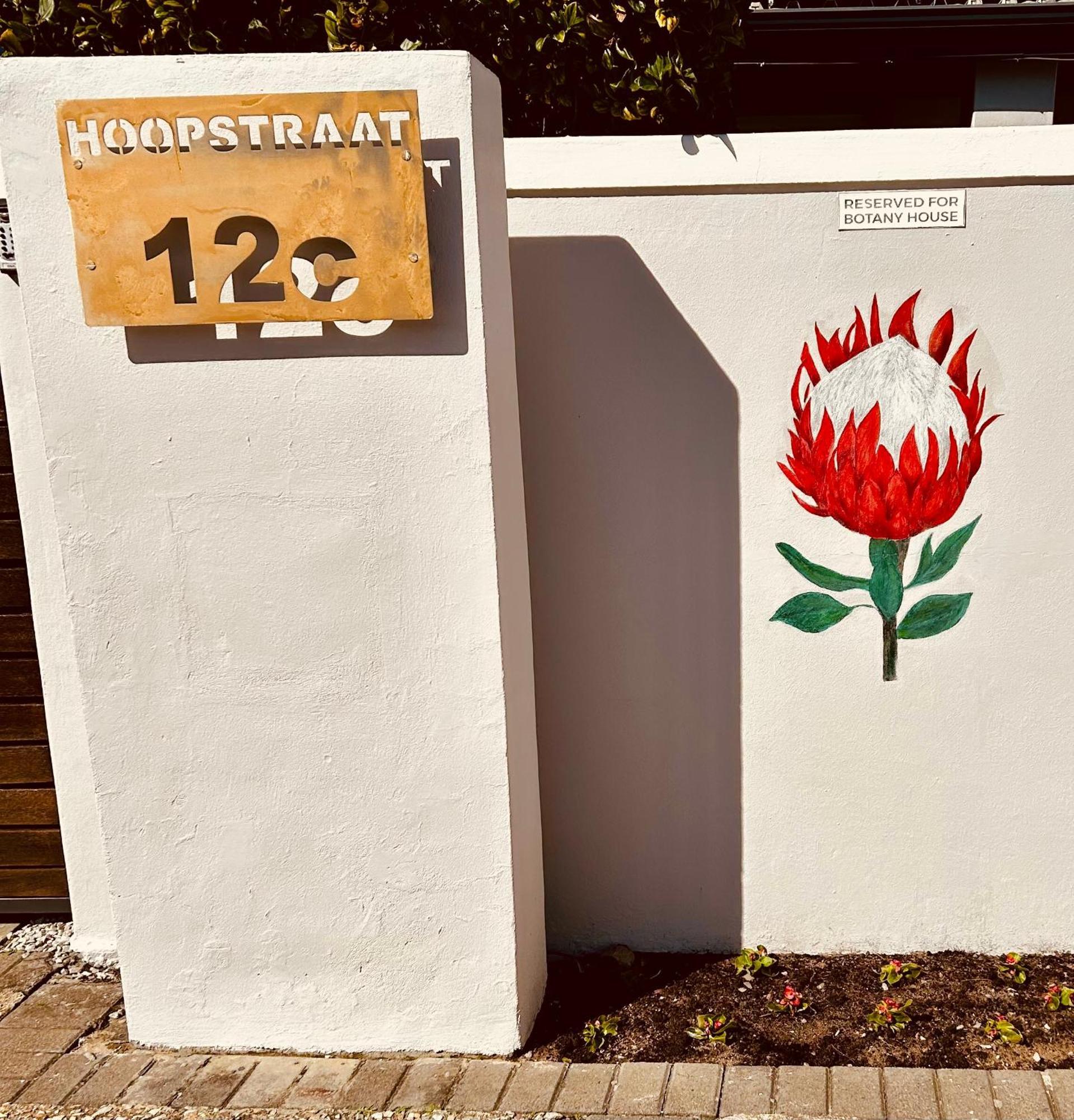 Botany House, In The Heart Of Hermanus Villa Dış mekan fotoğraf